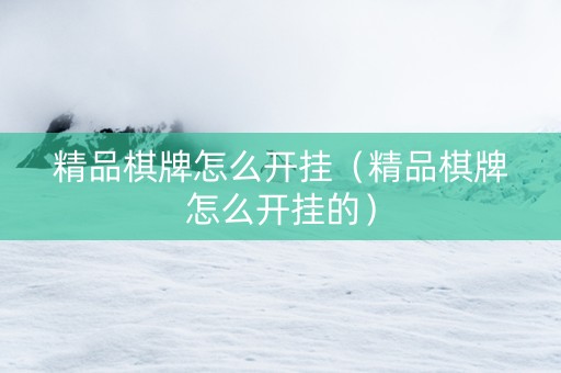 精品棋牌怎么开挂（精品棋牌怎么开挂的）