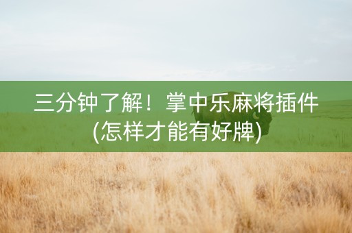 三分钟了解！掌中乐麻将插件(怎样才能有好牌)