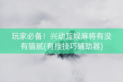 玩家必备！兴动互娱麻将有没有猫腻(有挂技巧辅助器)