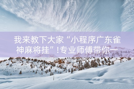 我来教下大家“小程序广东雀神麻将挂”!专业师傅带你一起了解（详细教程）-知乎