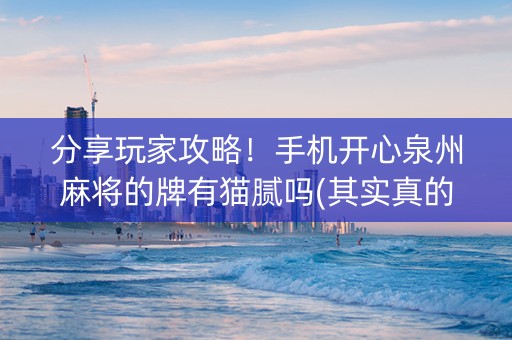 分享玩家攻略！手机开心泉州麻将的牌有猫腻吗(其实真的有挂)