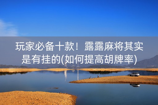 玩家必备十款！露露麻将其实是有挂的(如何提高胡牌率)
