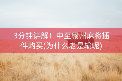3分钟讲解！中至赣州麻将插件购买(为什么老是输呢)