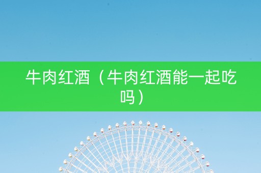 牛肉红酒（牛肉红酒能一起吃吗）