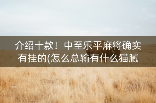 介绍十款！中至乐平麻将确实有挂的(怎么总输有什么猫腻)