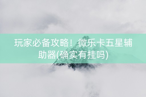 玩家必备攻略！微乐卡五星辅助器(确实有挂吗)