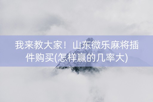 我来教大家！山东微乐麻将插件购买(怎样赢的几率大)
