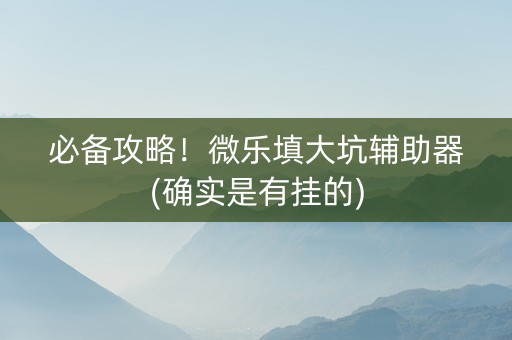 必备攻略！微乐填大坑辅助器(确实是有挂的)