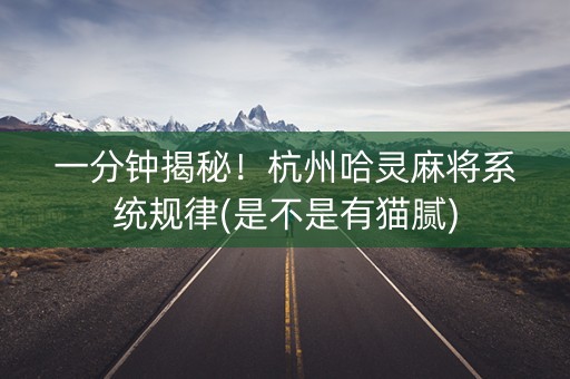 一分钟揭秘！杭州哈灵麻将系统规律(是不是有猫腻)