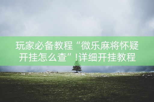 玩家必备教程“微乐麻将怀疑开挂怎么查”!详细开挂教程-知乎
