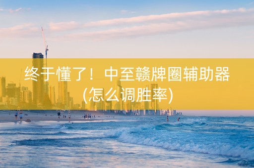 终于懂了！中至赣牌圈辅助器(怎么调胜率)