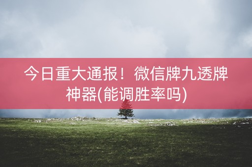 今日重大通报！微信牌九透牌神器(能调胜率吗)