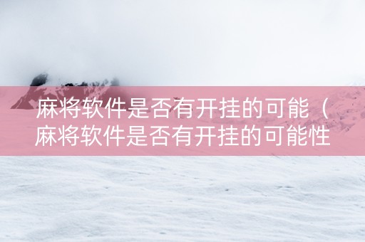 麻将软件是否有开挂的可能（麻将软件是否有开挂的可能性）