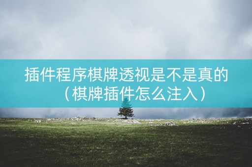 插件程序棋牌透视是不是真的（棋牌插件怎么注入）