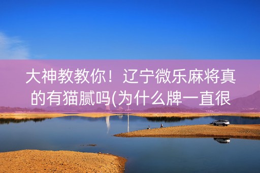 大神教教你！辽宁微乐麻将真的有猫腻吗(为什么牌一直很差)