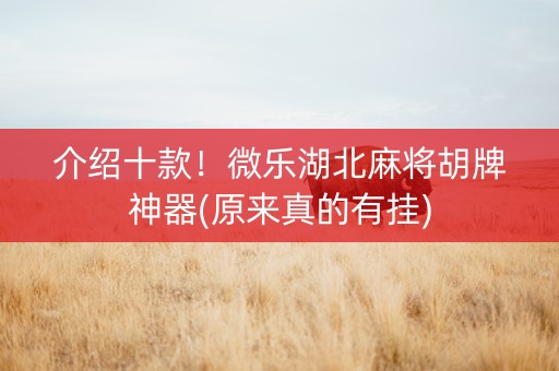 介绍十款！微乐湖北麻将胡牌神器(原来真的有挂)