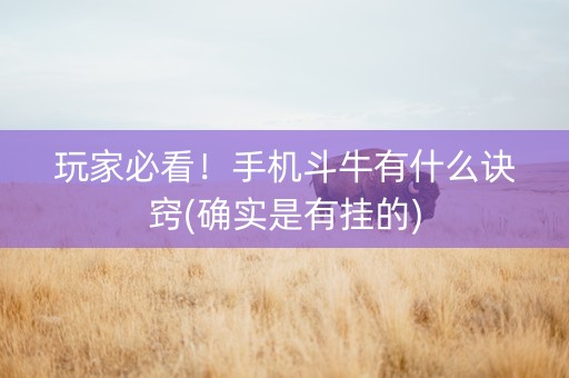 玩家必看！手机斗牛有什么诀窍(确实是有挂的)
