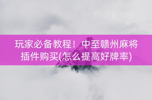 玩家必备教程！中至赣州麻将插件购买(怎么提高好牌率)