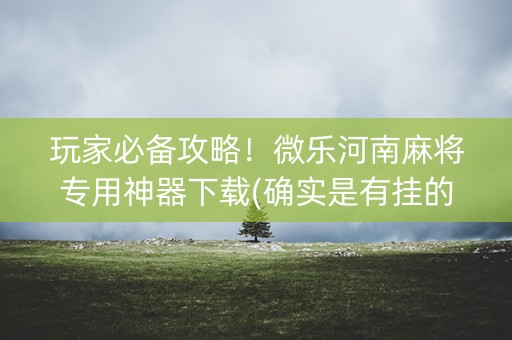 玩家必备攻略！微乐河南麻将专用神器下载(确实是有挂的)