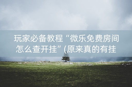 玩家必备教程“微乐免费房间怎么查开挂”(原来真的有挂)-知乎