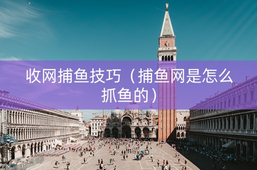 收网捕鱼技巧（捕鱼网是怎么抓鱼的）