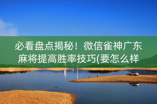 必看盘点揭秘！微信雀神广东麻将提高胜率技巧(要怎么样拿到好牌)