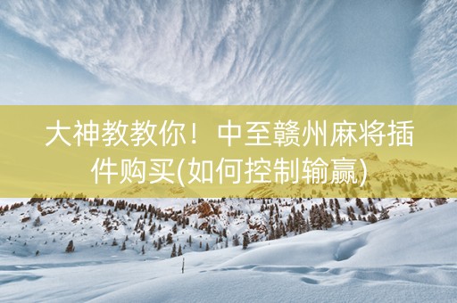 大神教教你！中至赣州麻将插件购买(如何控制输赢)