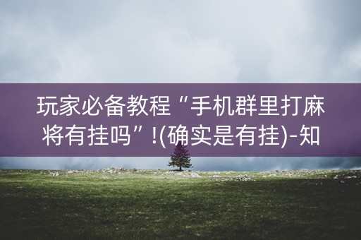玩家必备教程“手机群里打麻将有挂吗”!(确实是有挂)-知乎