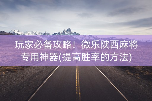 玩家必备攻略！微乐陕西麻将专用神器(提高胜率的方法)