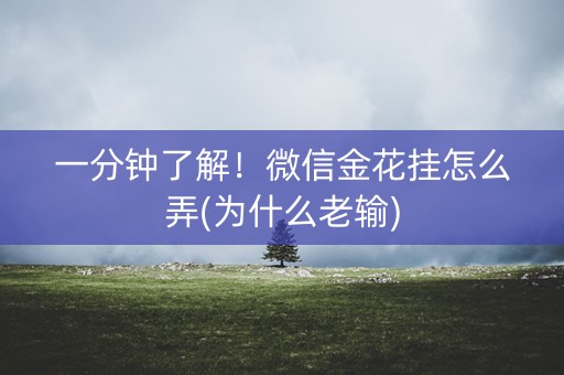一分钟了解！微信金花挂怎么弄(为什么老输)