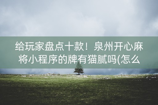 给玩家盘点十款！泉州开心麻将小程序的牌有猫腻吗(怎么才有好牌)
