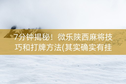 7分钟揭秘！微乐陕西麻将技巧和打牌方法(其实确实有挂)