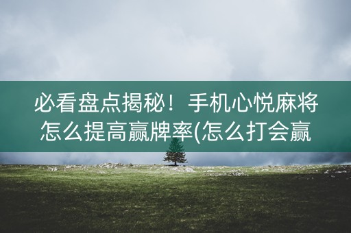 必看盘点揭秘！手机心悦麻将怎么提高赢牌率(怎么打会赢)