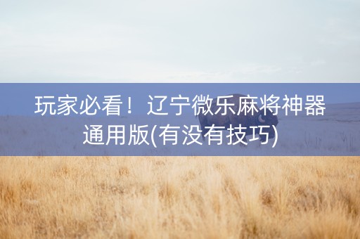 玩家必看！辽宁微乐麻将神器通用版(有没有技巧)