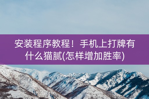 安装程序教程！手机上打牌有什么猫腻(怎样增加胜率)