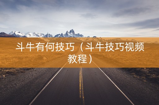 斗牛有何技巧（斗牛技巧视频教程）