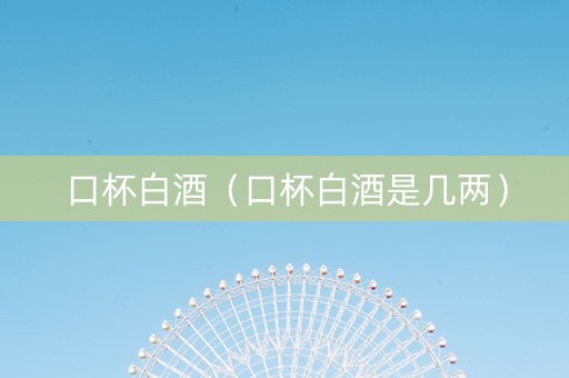 口杯白酒（口杯白酒是几两）
