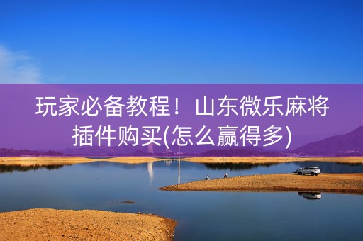 玩家必备教程！山东微乐麻将插件购买(怎么赢得多)