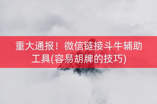 重大通报！微信链接斗牛辅助工具(容易胡牌的技巧)