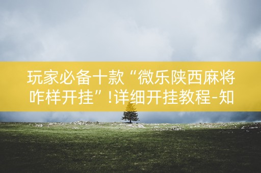 玩家必备十款“微乐陕西麻将咋样开挂”!详细开挂教程-知乎