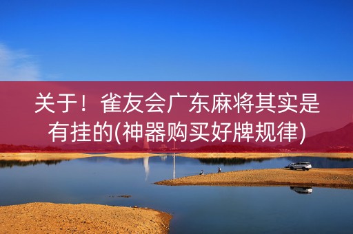 关于！雀友会广东麻将其实是有挂的(神器购买好牌规律)