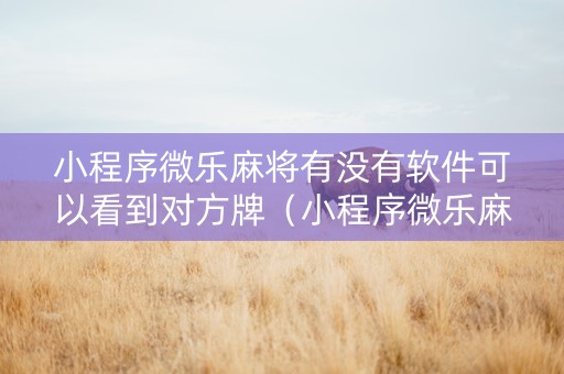 小程序微乐麻将有没有软件可以看到对方牌（小程序微乐麻将到底有没有挂）