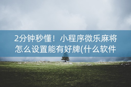 2分钟秒懂！小程序微乐麻将怎么设置能有好牌(什么软件可以赢)