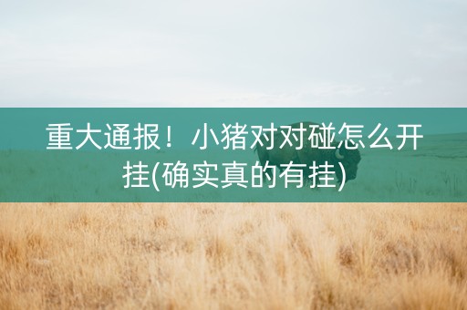 重大通报！小猪对对碰怎么开挂(确实真的有挂)