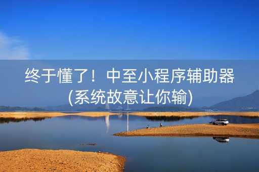 终于懂了！中至小程序辅助器(系统故意让你输)