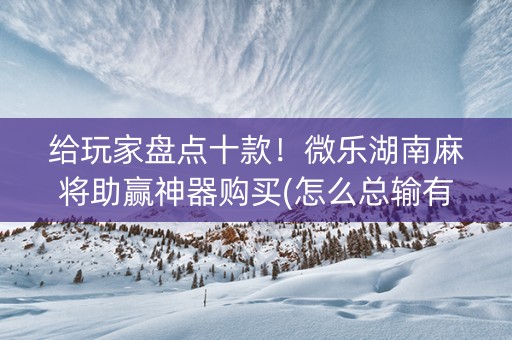 给玩家盘点十款！微乐湖南麻将助赢神器购买(怎么总输有什么猫腻)