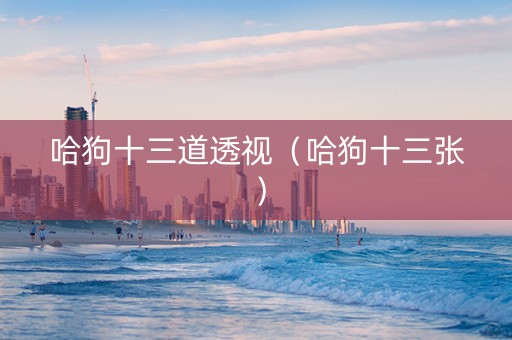 哈狗十三道透视（哈狗十三张）