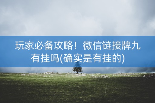 玩家必备攻略！微信链接牌九有挂吗(确实是有挂的)