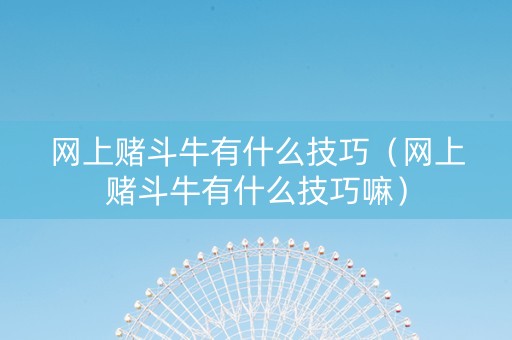 网上赌斗牛有什么技巧（网上赌斗牛有什么技巧嘛）