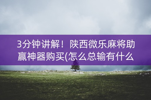 3分钟讲解！陕西微乐麻将助赢神器购买(怎么总输有什么猫腻)
